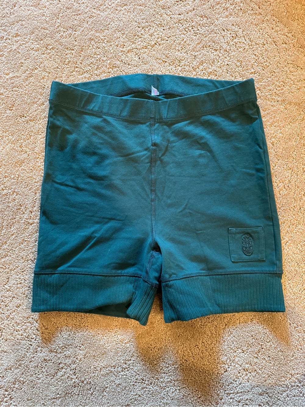 Free People Teal Ribbed Hem Bike Shorts